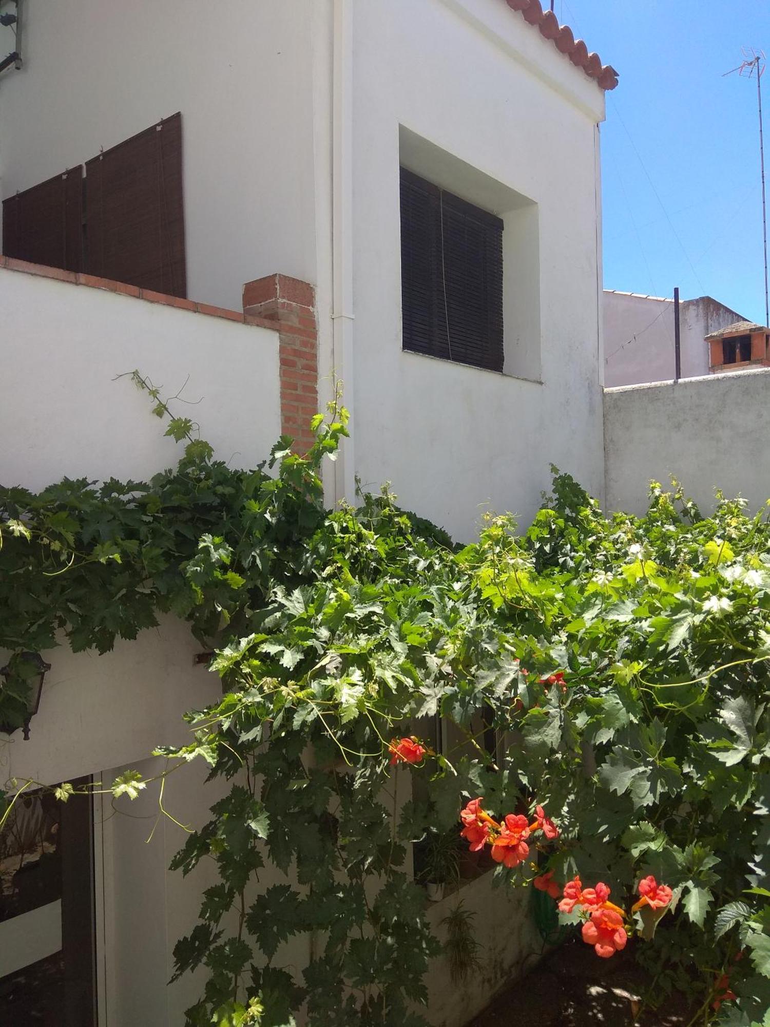 דירות Oliva de la Frontera El Regocijo מראה חיצוני תמונה