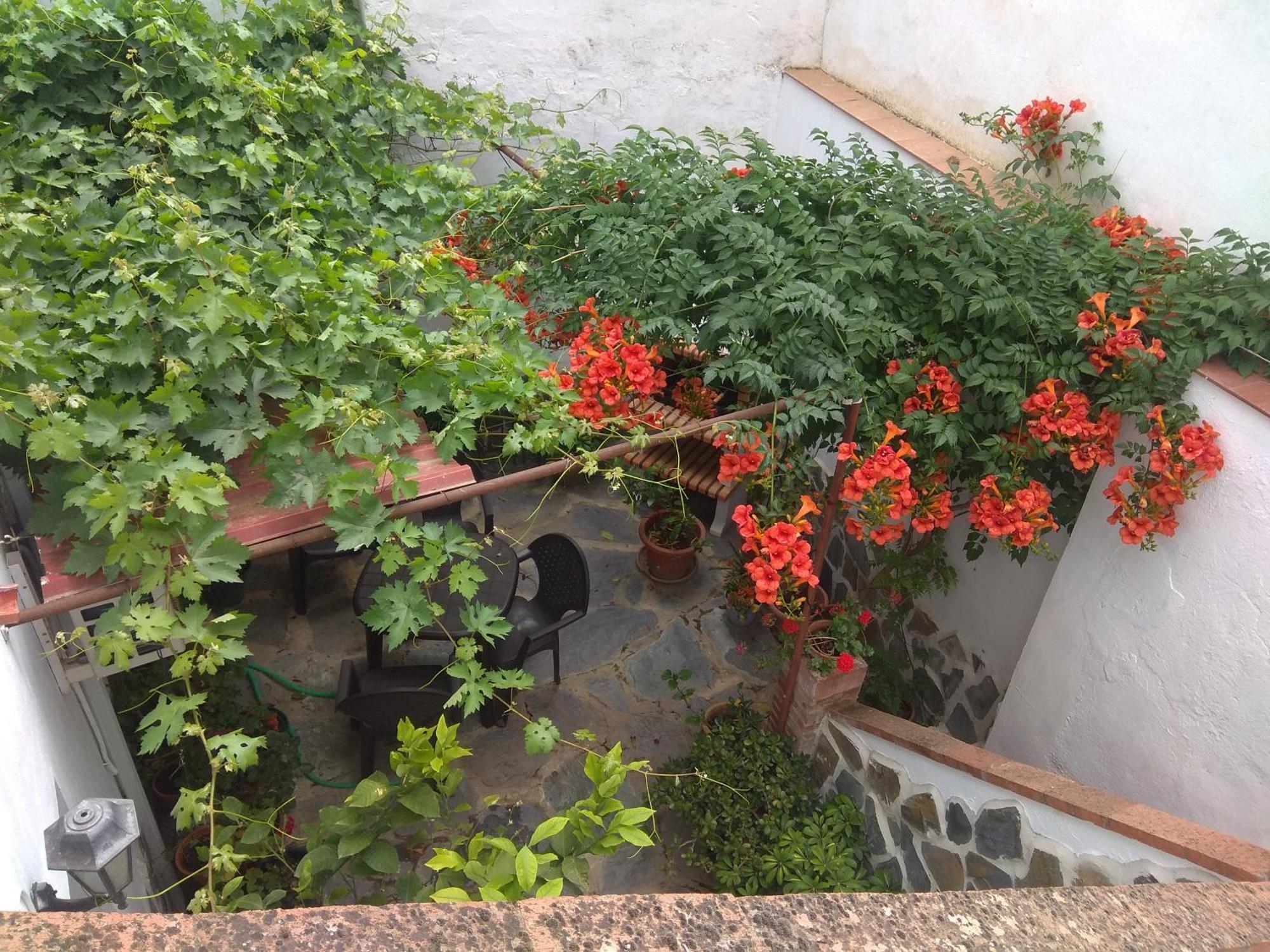 דירות Oliva de la Frontera El Regocijo מראה חיצוני תמונה